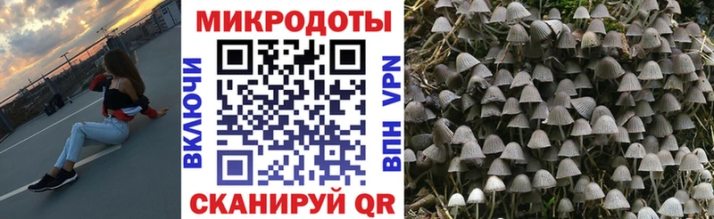 Купить где  Реж  Псилоцибиновые грибы Magic Shrooms 